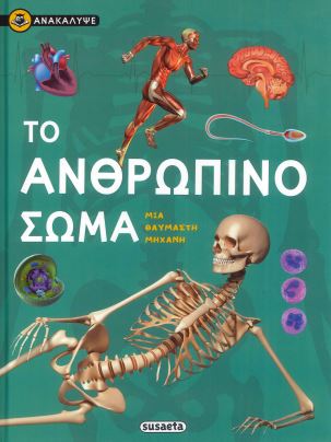 ΤΟ ΑΝΘΡΩΠΙΝΟ ΣΩΜΑ